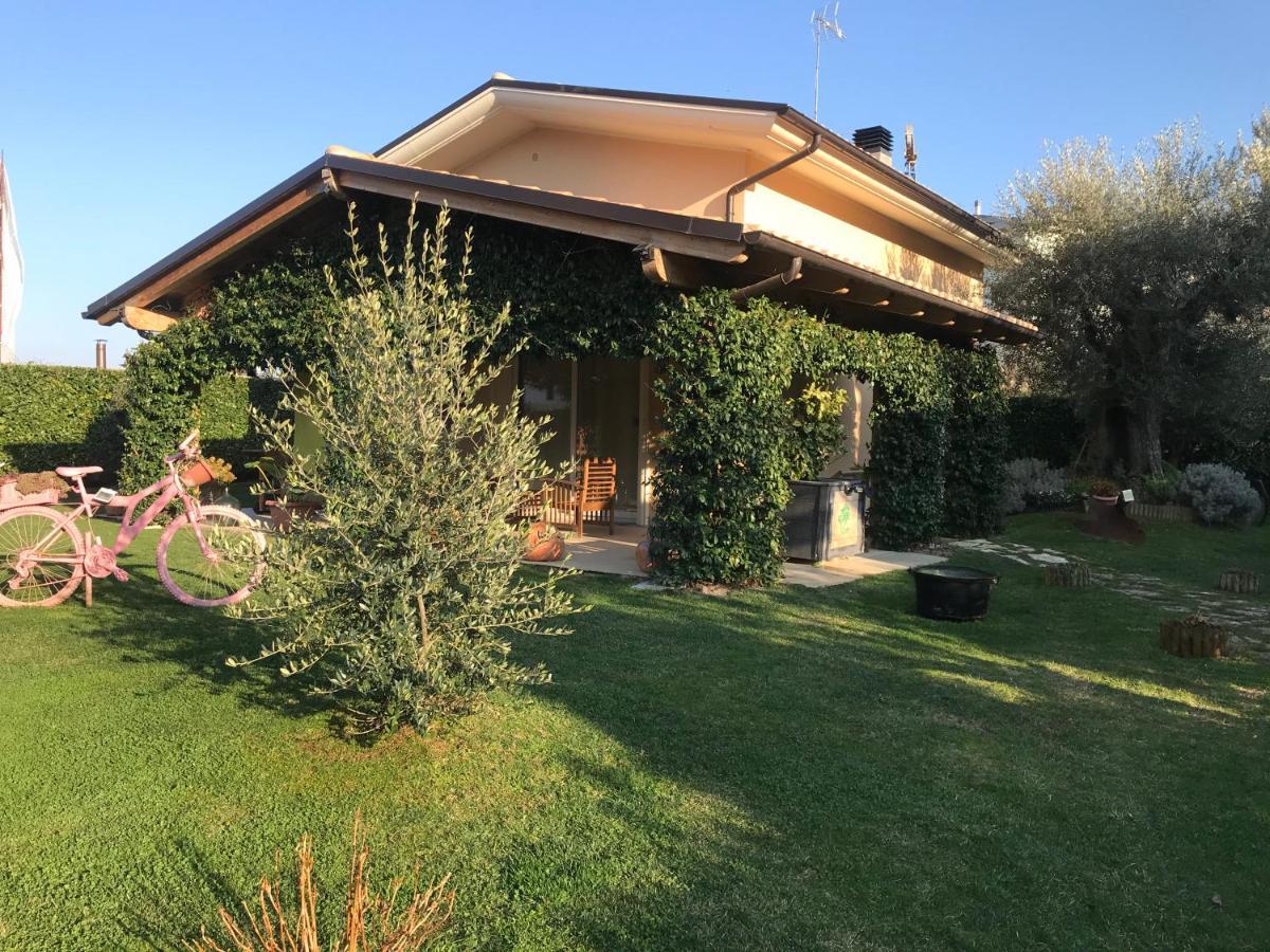 L' Ulivo Bed&Breakfast Teramo Exterior foto