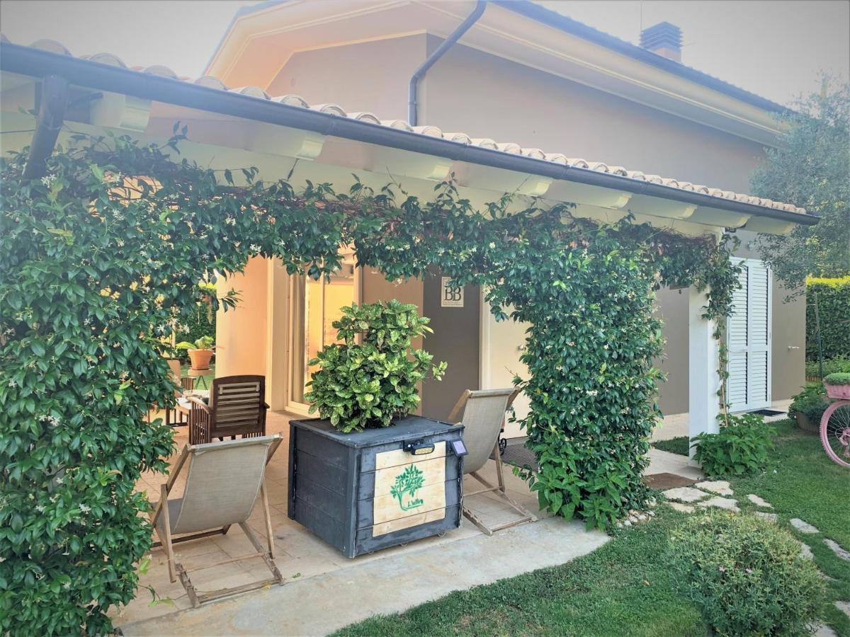 L' Ulivo Bed&Breakfast Teramo Exterior foto